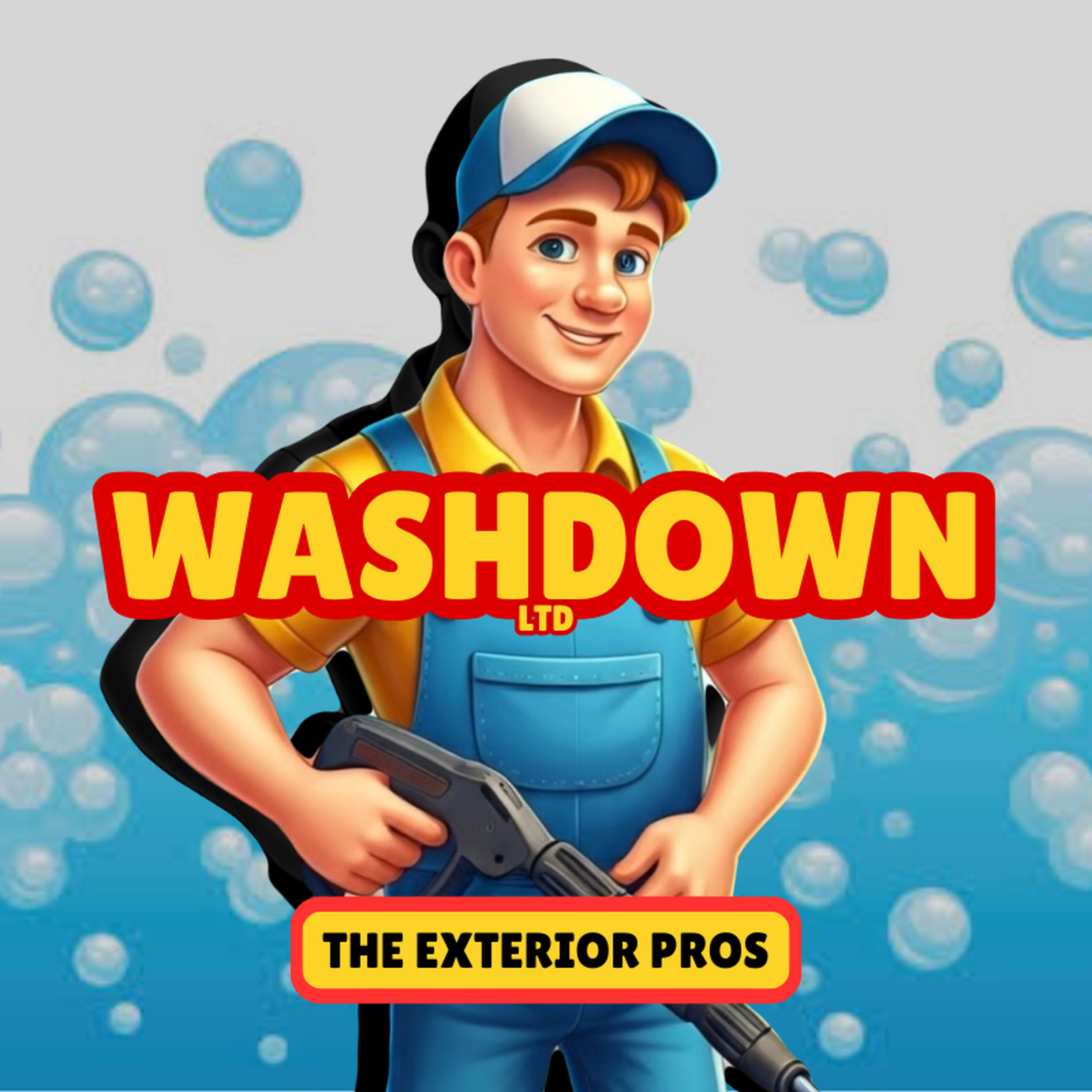 Washdown Ltd mascot logo